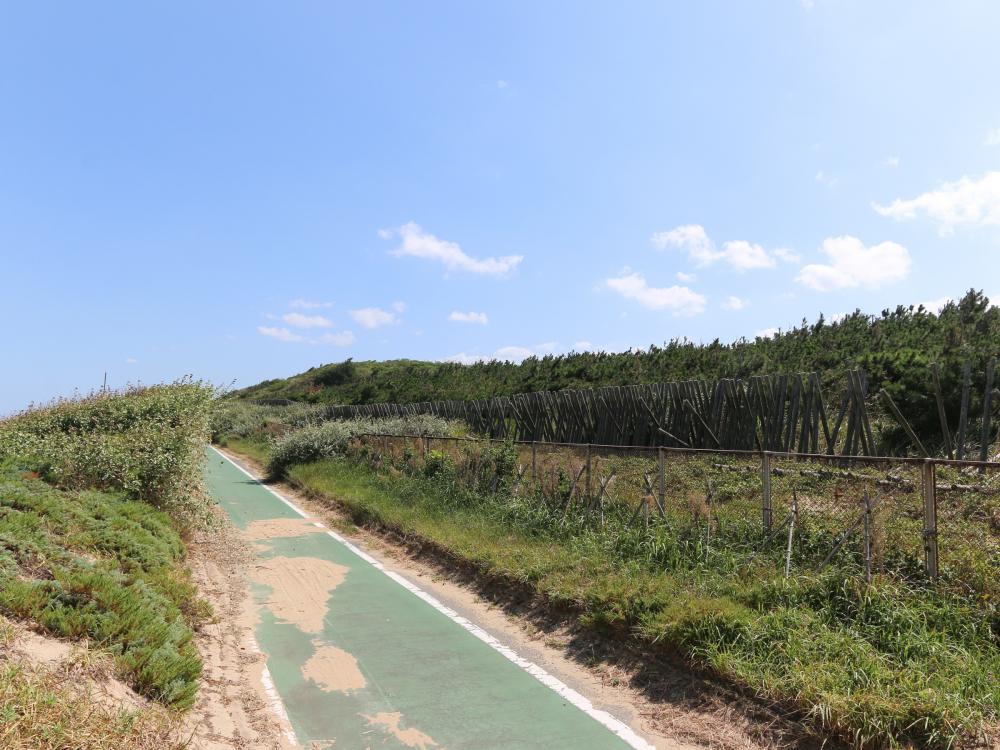 イメージ：遠賀郡岡垣町