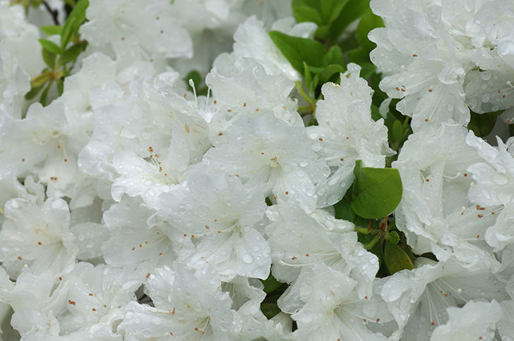 イメージ：富山駅・電鉄富山駅・電鉄富山駅・エスタ前駅