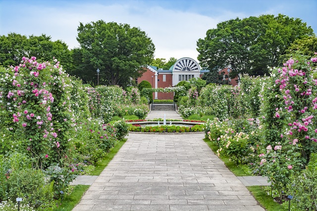 西洋の雰囲気の漂う「港の見える丘公園」は横浜港を見下ろす小高い丘にあります
