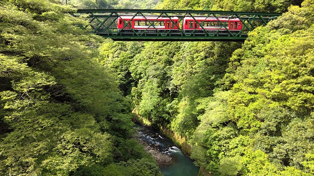 箱根登山電車に乗って、四季折々の自然を眺めるのも箱根の楽しみ方の一つです