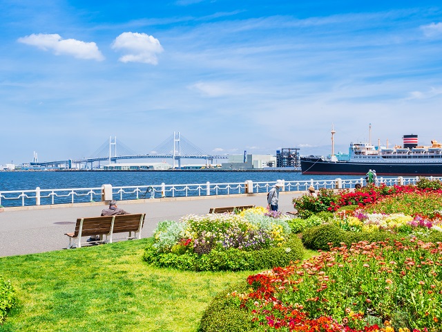 「山下公園」から「横浜ベイブリッジ」を眺めることができます。夜はライトアップされた姿を楽しむことも