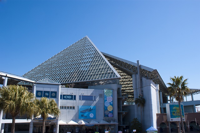 700種類の生き物が展示されている「アクアミュージアム」は日本最大級の水族館です